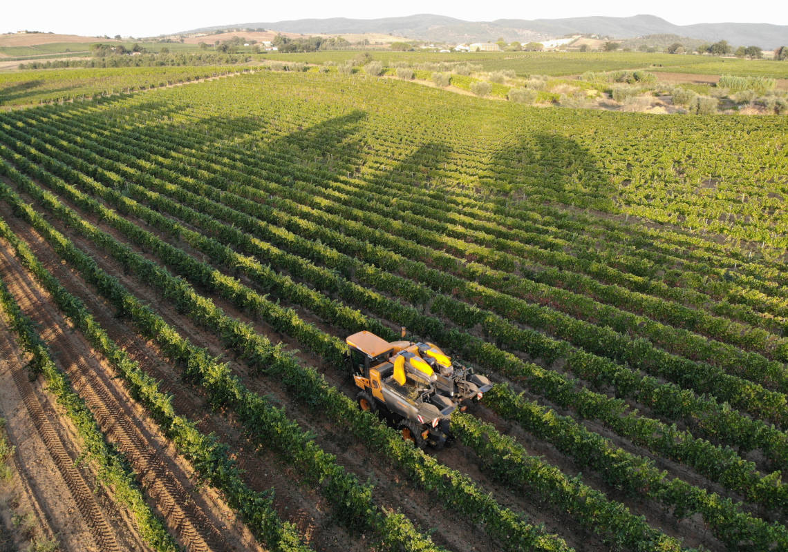 Azienda Bruni