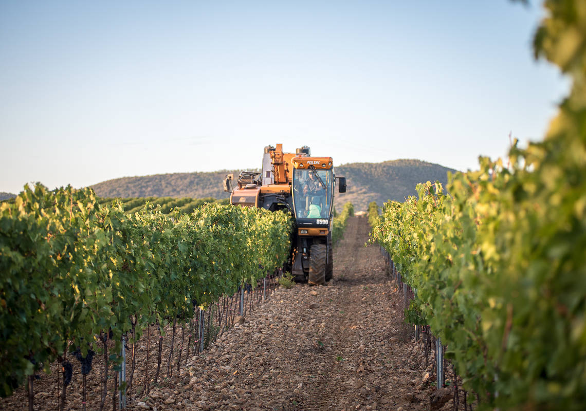 Cantine Bruni - Azienda Vitivinicola in Maremma