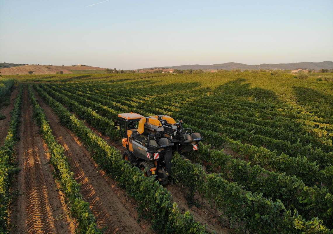 Cantine Bruni - Azienda Vitivinicola in Maremma