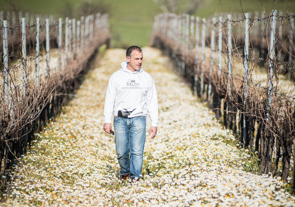 Cantine Bruni - Azienda Vitivinicola in Maremma